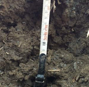 Jun16 enews soil